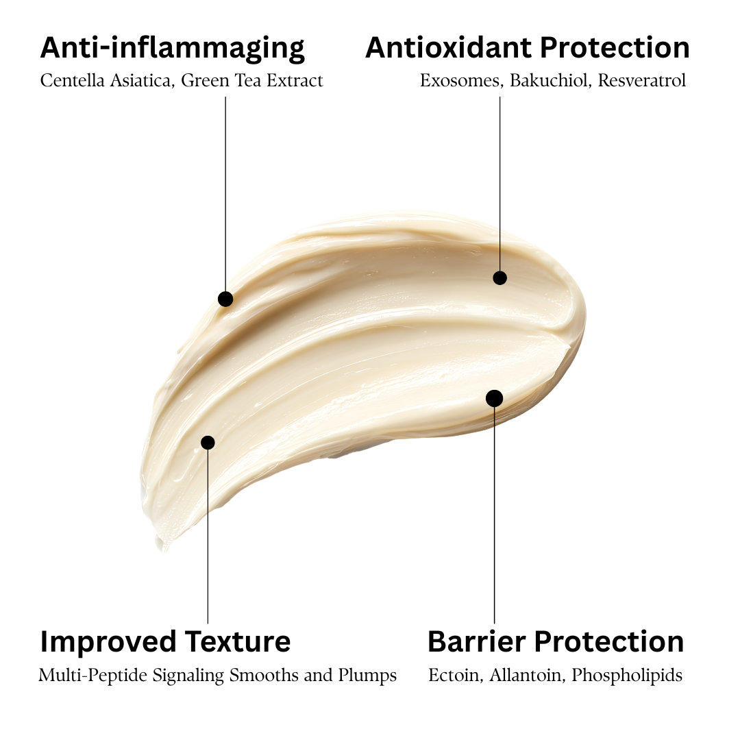 VIVACE ANTIOXIDANT CREME IDRATANTE