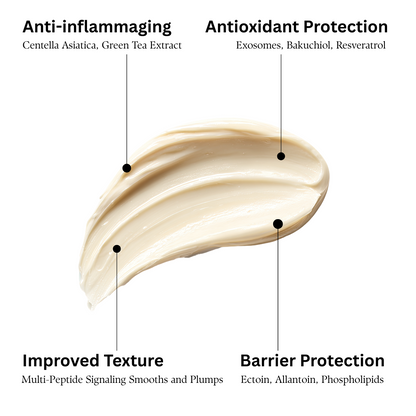 VIVACE ANTIOXIDANT CREME IDRATANTE