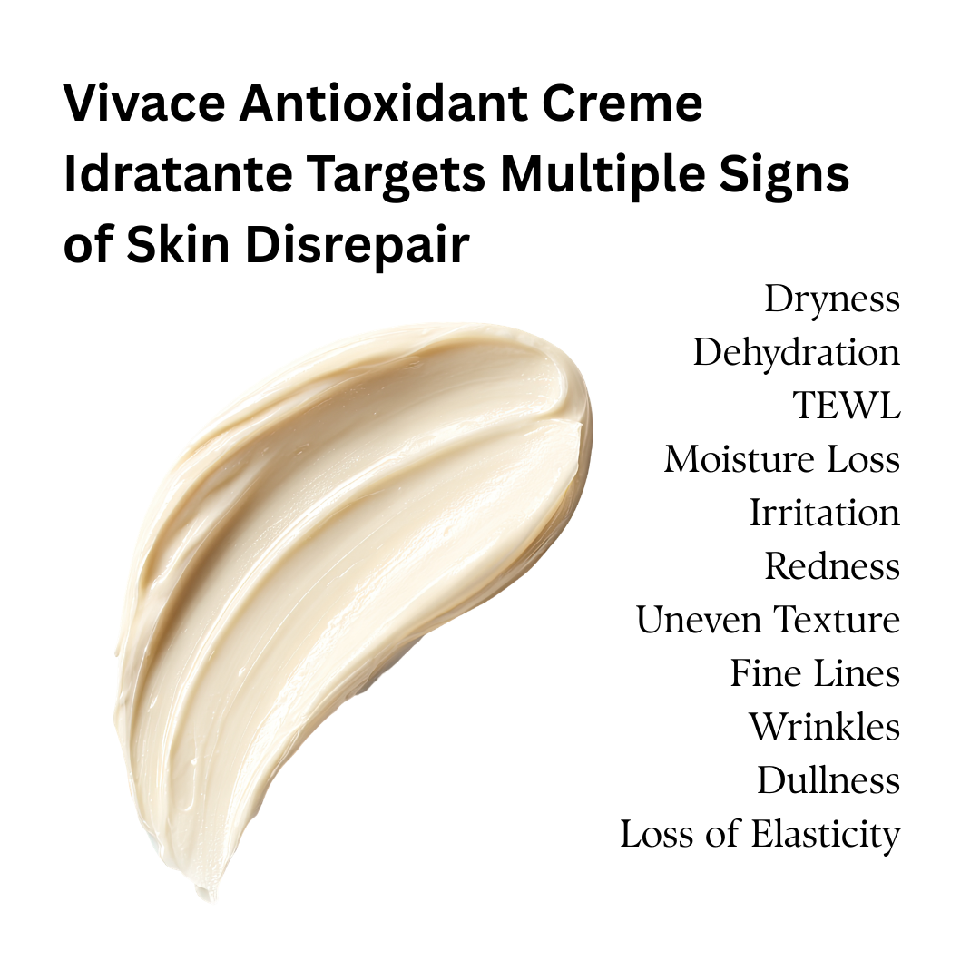 VIVACE ANTIOXIDANT CREME IDRATANTE