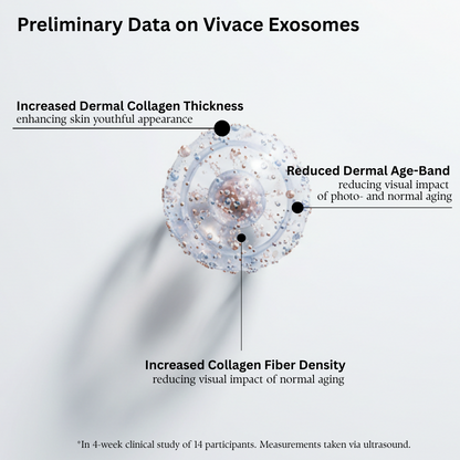 VIVACE ANTIOXIDANT CREME IDRATANTE